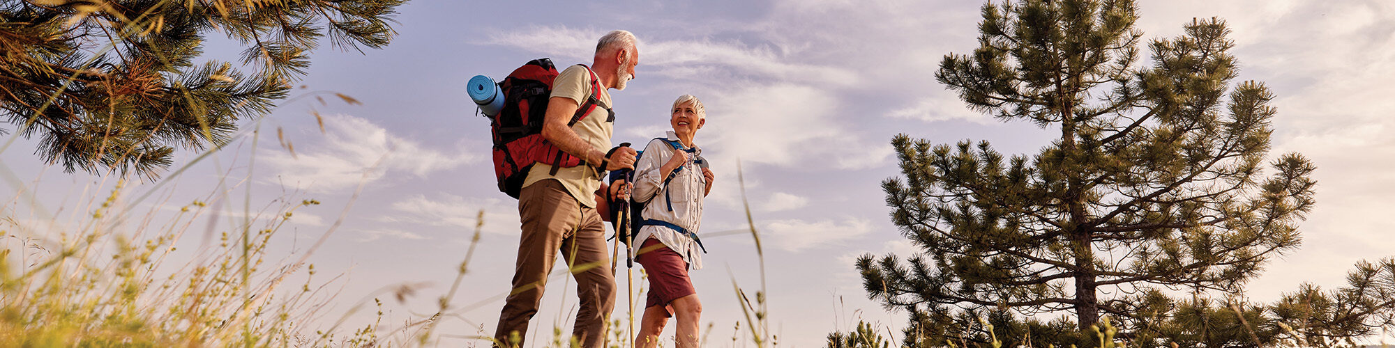Neurosurgery Banner Bloomington