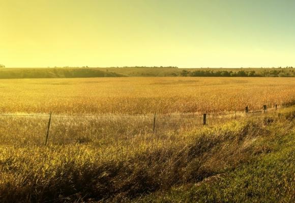 Grants for virtual care help expand rural access