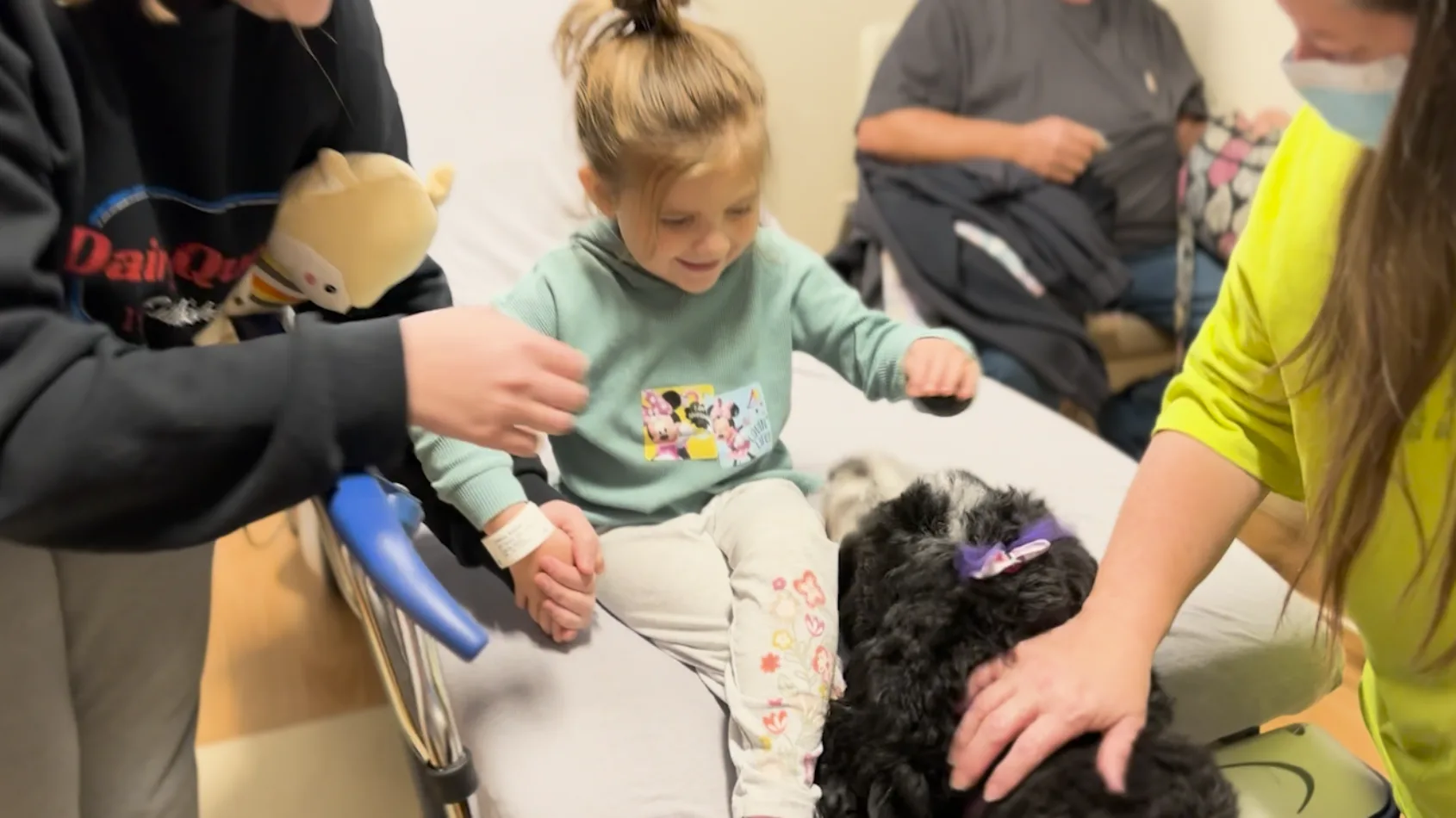 Meet Paisley the therapy dog