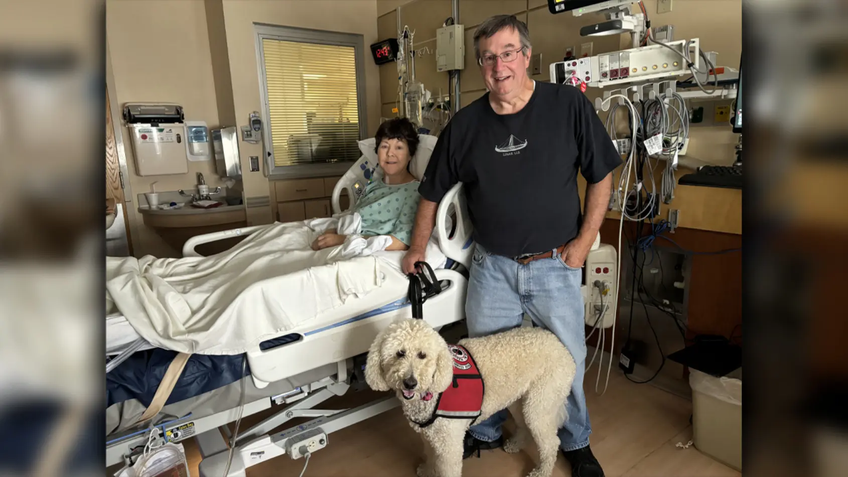 Furry friend provides healing after transplant