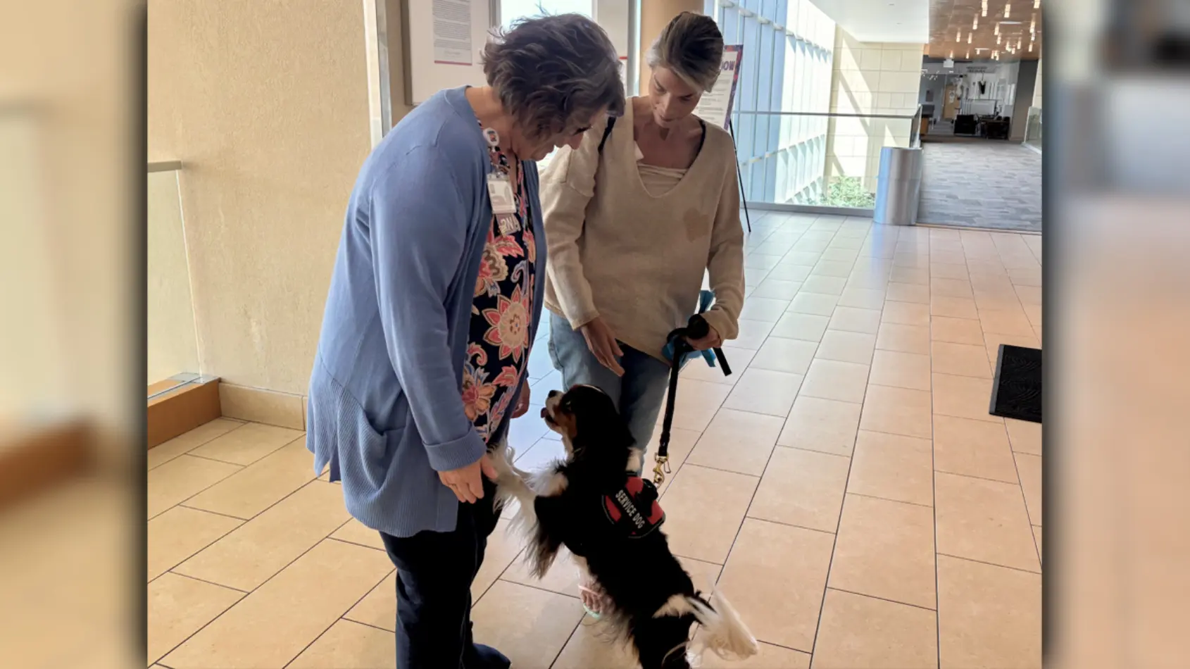 An oncologist, nurse navigator, and dog named, ‘Ireland’ helped her celebrate 40 years