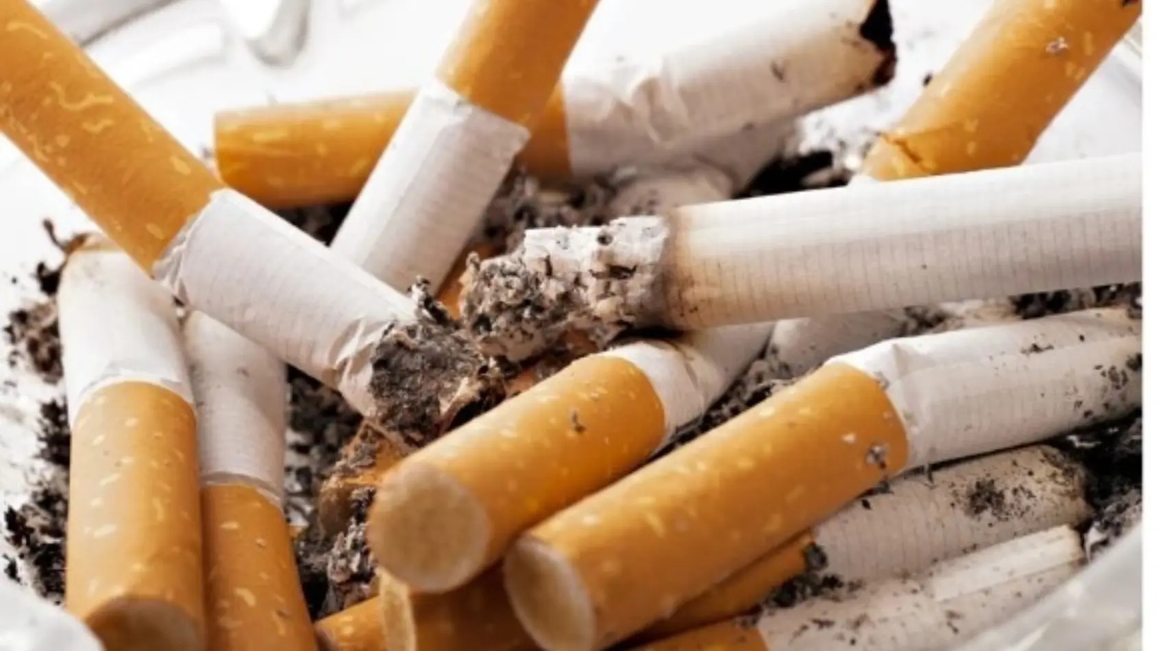 Oral Cancer Awareness Month: cancer can start with a habit