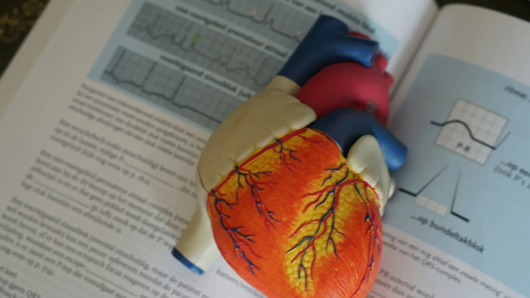 Innovative AFib treatment restores quality of life for Indiana veteran
