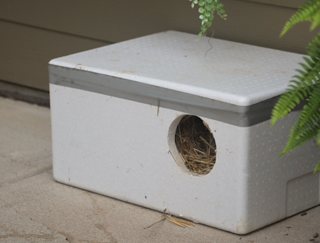 Pharmacy tech repurposes Styrofoam coolers to be used as cat shelters