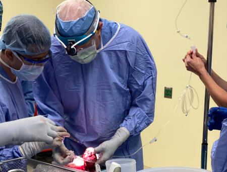 Groundbreaking surgery provides relief for debilitating pancreatitis