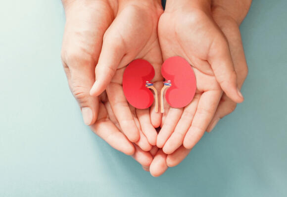 Eight people form a kidney ‘chain;’ Four people receive the gift of life