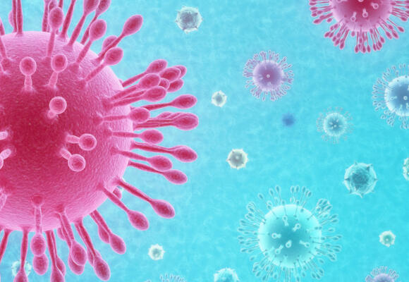 Coronavirus: Under The Microscope