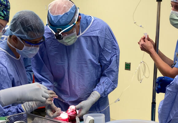 Groundbreaking surgery provides relief for debilitating pancreatitis