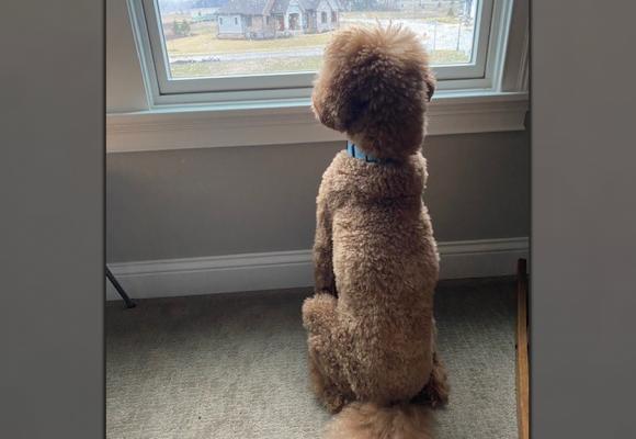 We double dog dare you not to read this story