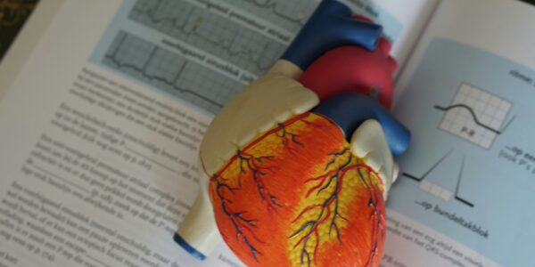 Innovative AFib treatment restores quality of life for Indiana veteran image.