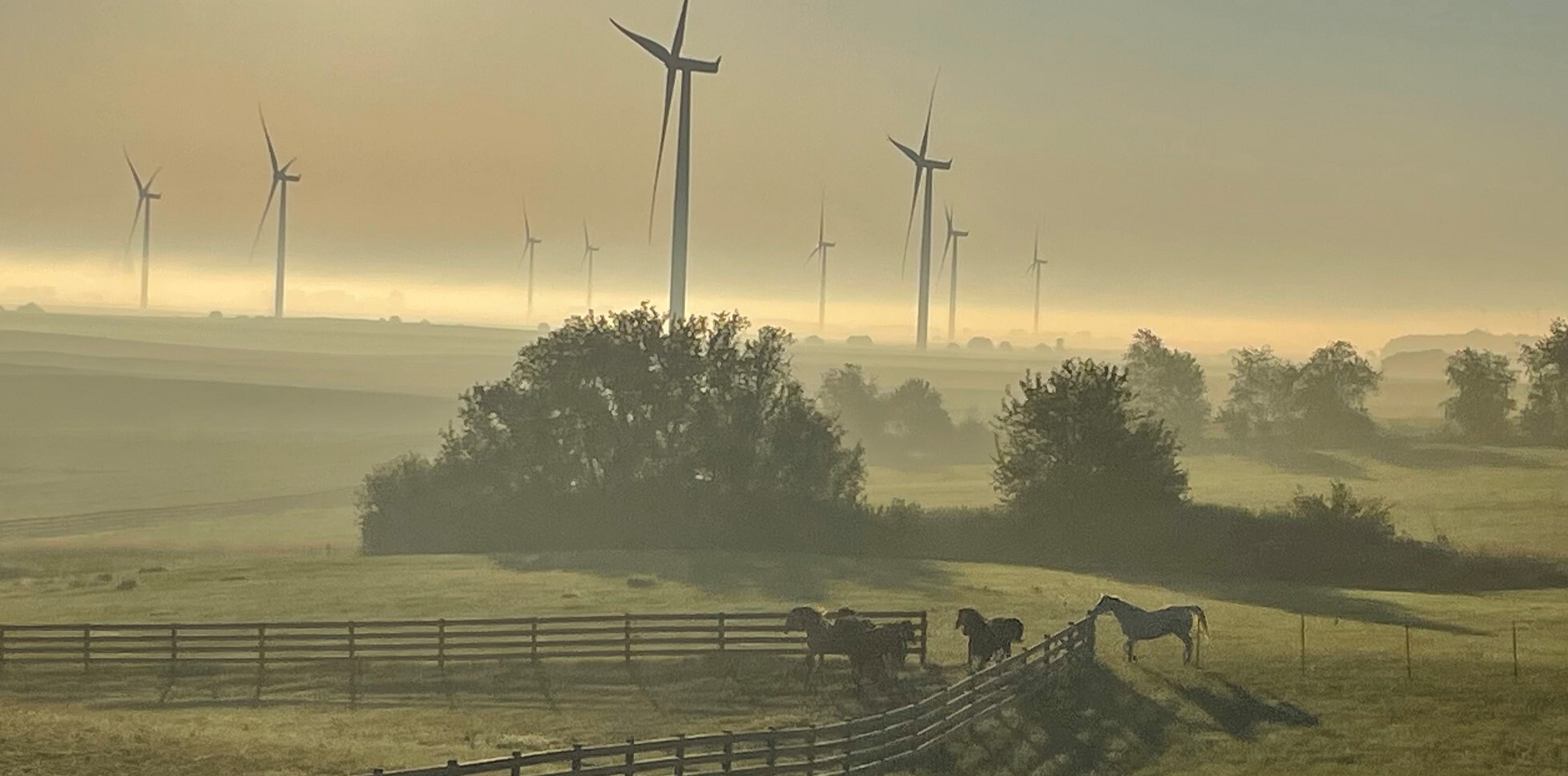 Horses far away hero